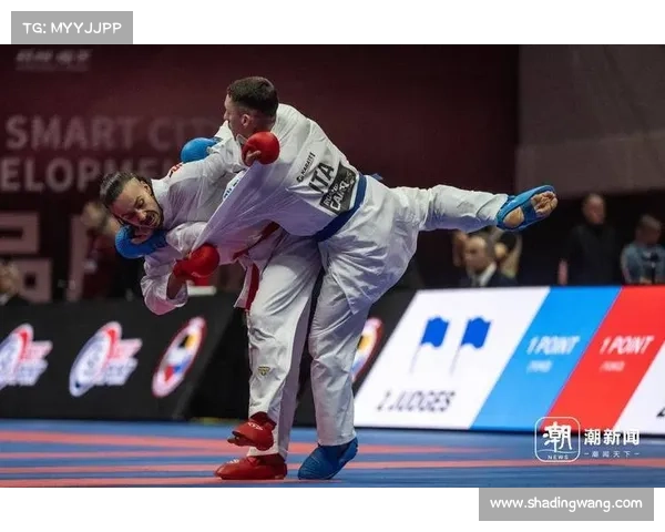 热血沸腾空手道全球锦标赛顶尖高手巅峰对决荣耀之战