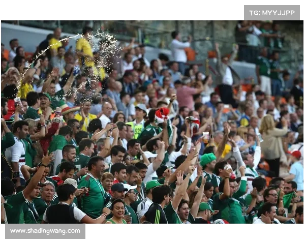 墨西哥瑞典球迷庆祝